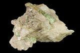 Yellow-Green Fluorapatite Crystals in Calcite - Ontario, Canada #137115-1